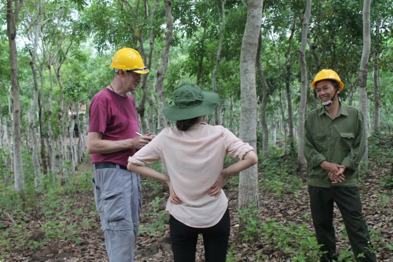 Nông lâm nghiệp kết hợp