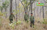 Công ty TNHH MTV Đại Thành tập trung phòng, chống cháy rừng